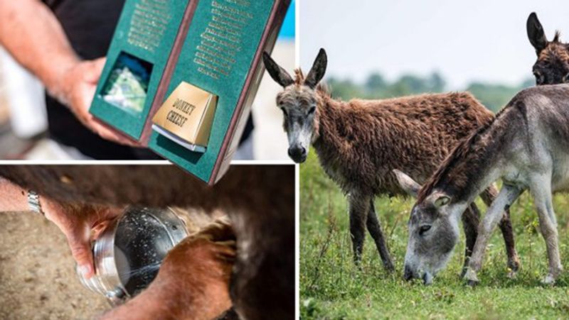 Donkey Milk Paneer Is Gold Only So much for single demand? -bsb