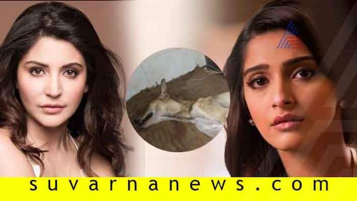Sonam Kapoor, Anushka Sharma seek justice for a dog beaten brutally in Mumbai Sonam Kapoor, Anushka Sharma seek justice for a dog beaten brutally in Mumbai