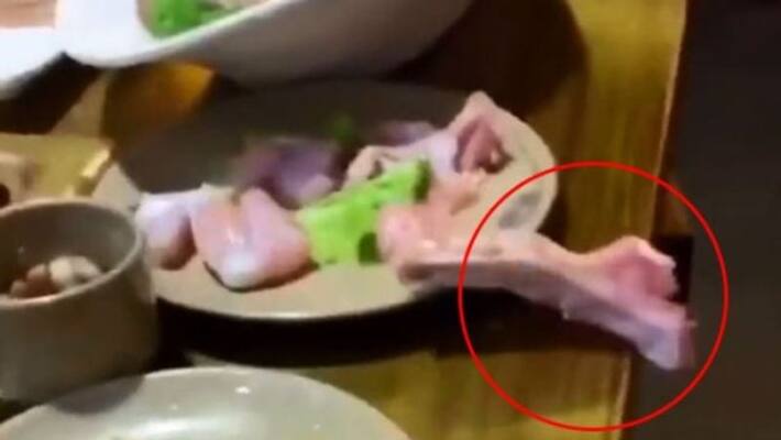 the raw meat moves from the plate is it real or fake the raw meat moves from the plate is it real or fake