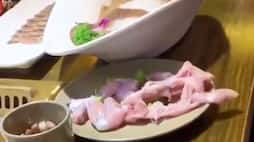 Raw chicken jumps off plate netizens cant get enough of it