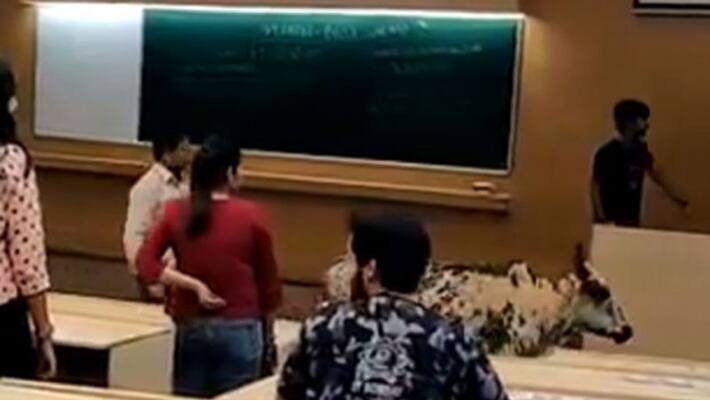 Viral video of cow walking in iit Bombay Viral video of cow walking in iit Bombay