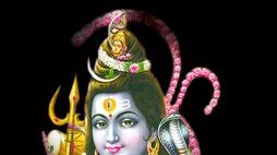how to worship lord shiva, your personal astrological tip on shivratri
