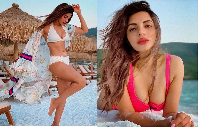 বিস্ফোরক মন্তব্য করেও একবার নয়,একাধিকবার লাইমলাইটে এসেছেন শান।