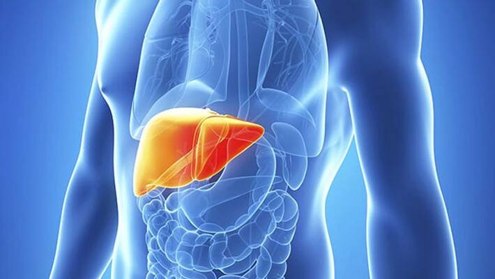 To control fatty liver problems use these two effective home remedies To control fatty liver problems use these two effective home remedies