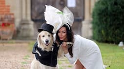 British woman ties knot with her golden retriever, yes a dog!