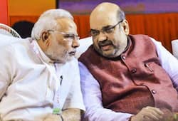 NewYearsEve: In spite of critical media, PM Modi, Amit Shah stay insulated, carry out work resolutely