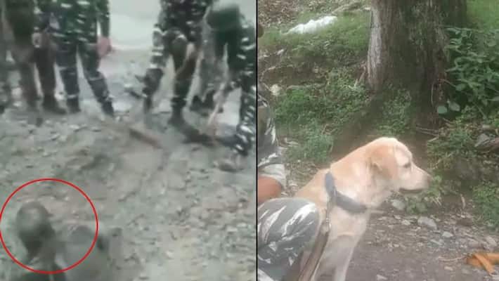 The person found inside the ground, video viral The person found inside the ground, video viral