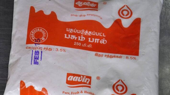 Frog inside Avin's milk pocket ... shocking accusation Frog inside Avin's milk pocket ... shocking accusation