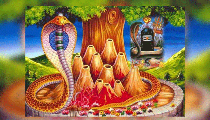 The significance of nagula Chavithi The significance of nagula Chavithi