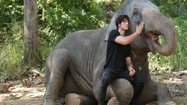 vidyut jammwal's junglee Won two Action Award in Jackie Chan International Film week China vidyut jammwal's junglee Won two Action Award in Jackie Chan International Film week China