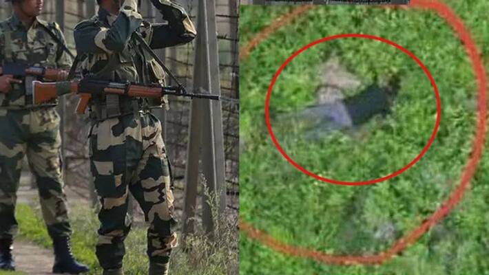 indian army offer take over dead body of bat indian army offer take over dead body of bat