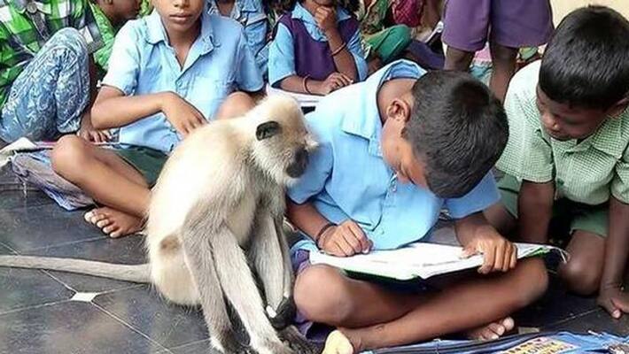 Viral video of languor Lakshmi studying with students Viral video of languor Lakshmi studying with students