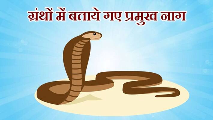 Naag panchami : Know the major snakes described in sacred books Naag panchami : Know the major snakes described in sacred books