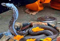 Nag Panchami today, rare yoga will be released