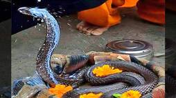 Nag Panchami today, rare yoga will be released