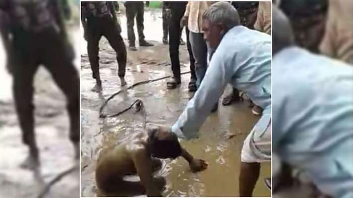 A new case of mob lynching in Rajasthan, a young man was beaten in a charge of goat theft A new case of mob lynching in Rajasthan, a young man was beaten in a charge of goat theft