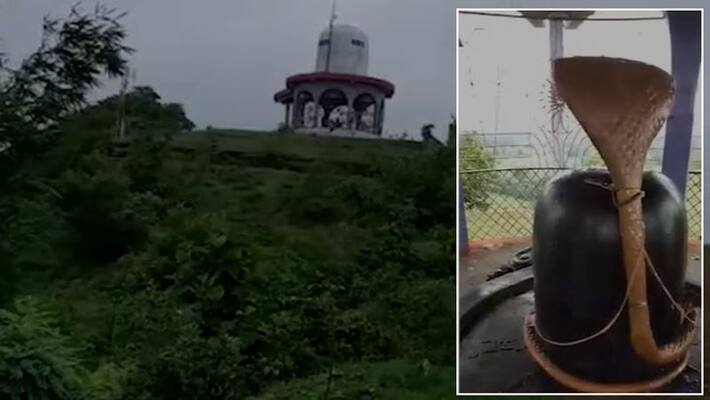 Special on Nagpanchami: A snake ENTERED in a Shiv temple in Madhya Pradesh Special on Nagpanchami: A snake ENTERED in a Shiv temple in Madhya Pradesh
