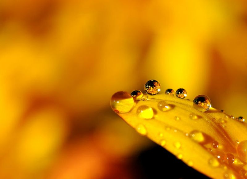 These 8 colors can change your destiny know their importance BDD