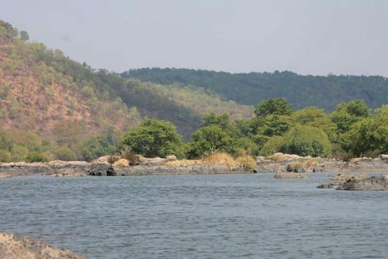 AIADMK co ordinator O Panneer Selvam has condemned the Karnataka government action on the Megha Dadu dam