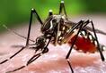 Bihar floods 900 test positive for dengue
