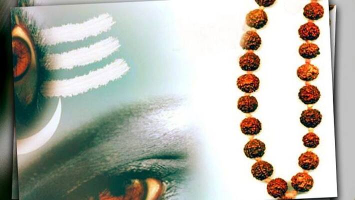 Know about benefits of wearing Seven mukhi rudraksha Know about benefits of wearing Seven mukhi rudraksha