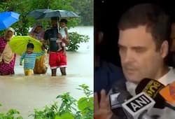 Kerala floods Rahul Gandhi ask PM Modi for more aid to his constituency Wayanad
