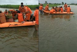 Monsoon Mayhem Rain related incidents claim lives of 35 in Maharashtra 31 in Gujarat