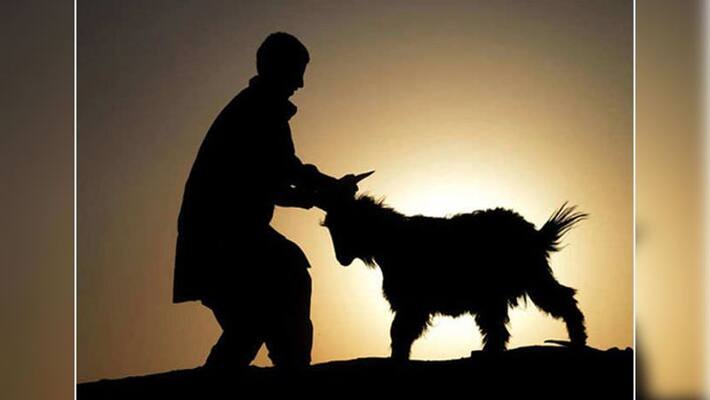 Alert regarding photo and video of sacrifice on Bakrid Alert regarding photo and video of sacrifice on Bakrid