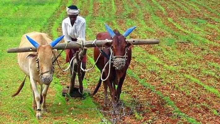 ragistration start of pradhanmantri kisan maan dhan yojana ragistration start of pradhanmantri kisan maan dhan yojana
