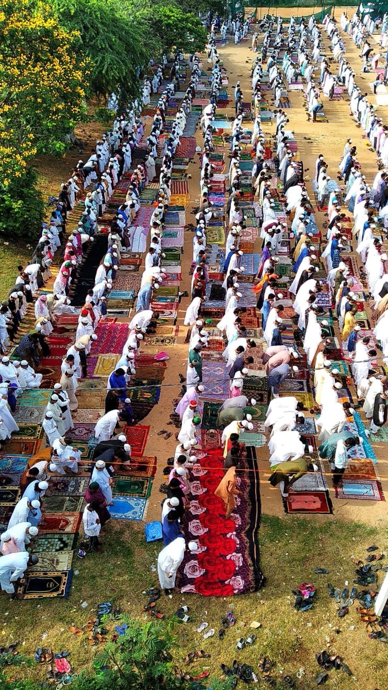 Ahead of Bakrid, animal sacrifice prohibited in public in Ahmedabad, Surat