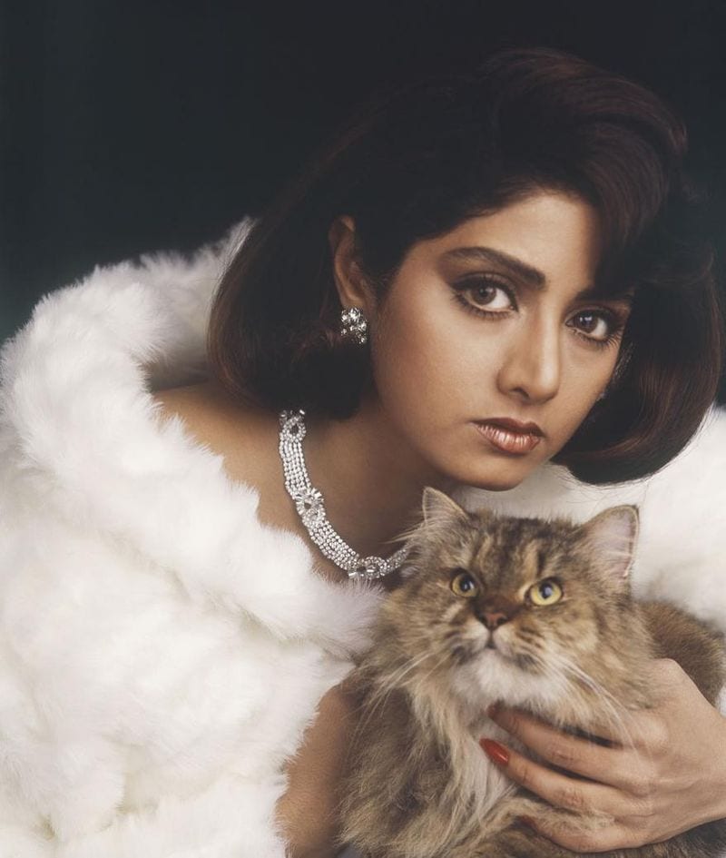 After the unfortunate death of Bollywood actress, Sridevi's uncle Venugopal Reddy had broken his silence. He spoke about some unknown facts around Sridevi’s life, relationship with husband Boney Kapoor, her cosmetic surgeries, wealth and property.