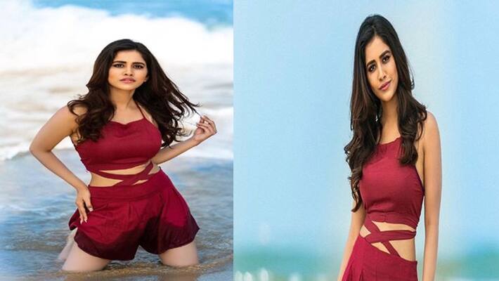 Nabha Natesh to romance with Mega hero Nabha Natesh to romance with Mega hero