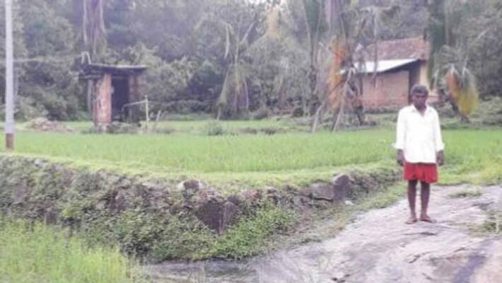 Man Turns dry land into a green field in Udupi Man Turns dry land into a green field in Udupi