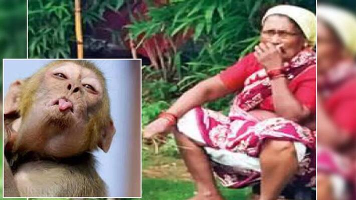 Terror of a monkey in Mumbai, finally caught Terror of a monkey in Mumbai, finally caught