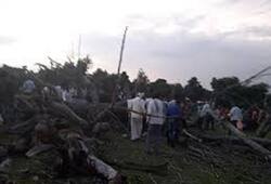 5 dead, 15 injured in Peepal tree fall in Madhya Pradesh