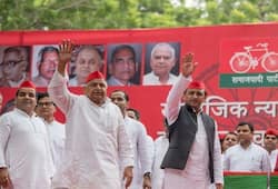 Will SP follow the path of Congress, Akhilesh will leave the throne and hand over the command of the party to Mulayam