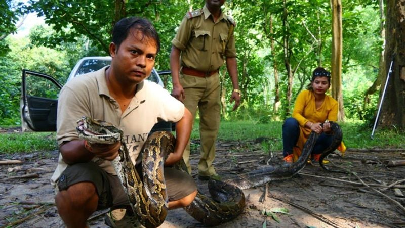 14.4-feet long python was rescued today at assam