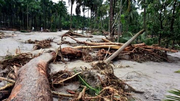 Flood affected agriculture land in belthangadi mangalore filled with sand Flood affected agriculture land in belthangadi mangalore filled with sand