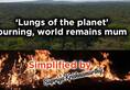 Simplified by Amazon rainforest fire impcats India Heres how