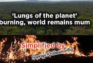 Simplified by Amazon rainforest fire impcats India Heres how