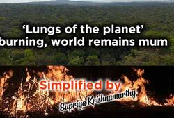 Simplified by Amazon rainforest fire impcats India Heres how