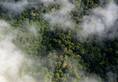 Amazon rainforest in Brazil burning; smoke can be seen from space