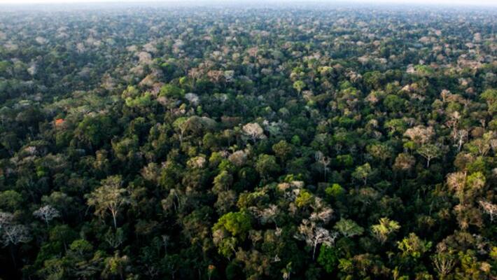2000 year old mayan civilisation city found beneath of guatemala rainforest 2000 year old mayan civilisation city found beneath of guatemala rainforest