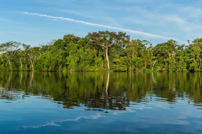 The Amazon delivers 55 million gallons of water into the Atlantic ocean every second. And more than 20% of the world's oxygen is produced by the Amazon rainforest.