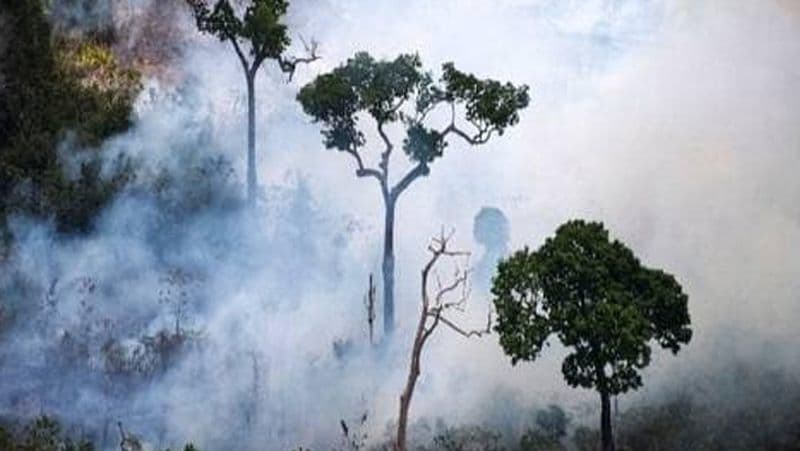 NASA's share of world's largest forest burning for two weeks amid 2700 KM winds