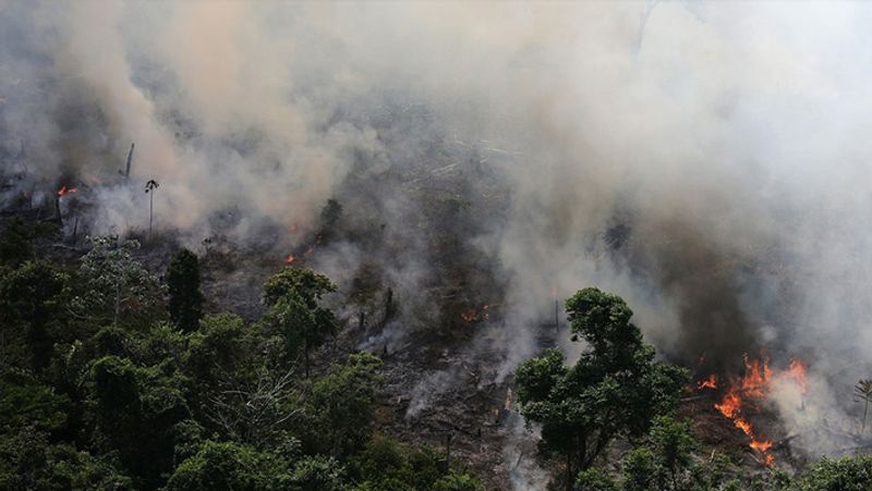 NASA's share of world's largest forest burning for two weeks amid 2700 KM winds