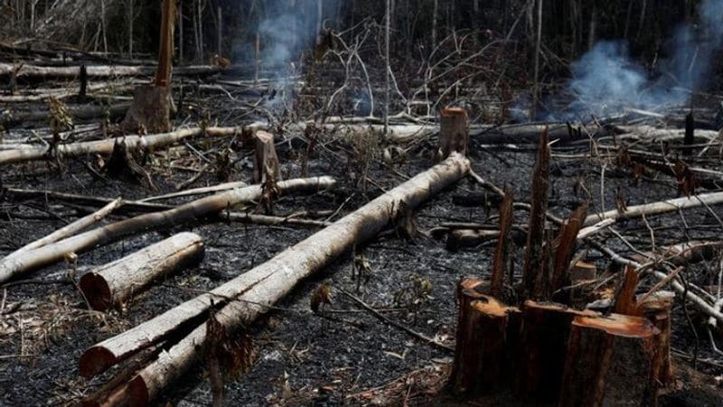NASA's share of world's largest forest burning for two weeks amid 2700 KM winds