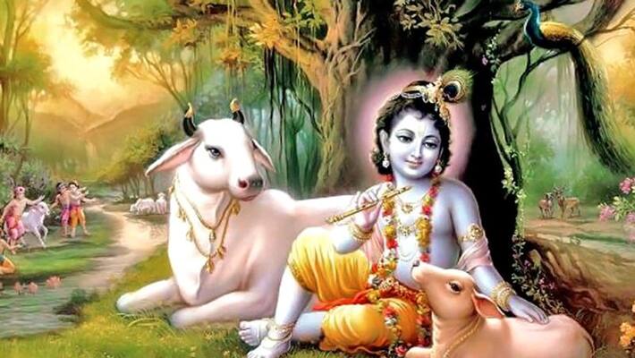 Lord Krishna's 51 names: Reciting them on Janmashtami may change your bad luck Lord Krishna's 51 names: Reciting them on Janmashtami may change your bad luck
