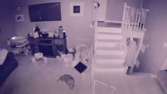 When you find a 'ghost child' playing near the stairs at midnight, know what happened When you find a 'ghost child' playing near the stairs at midnight, know what happened