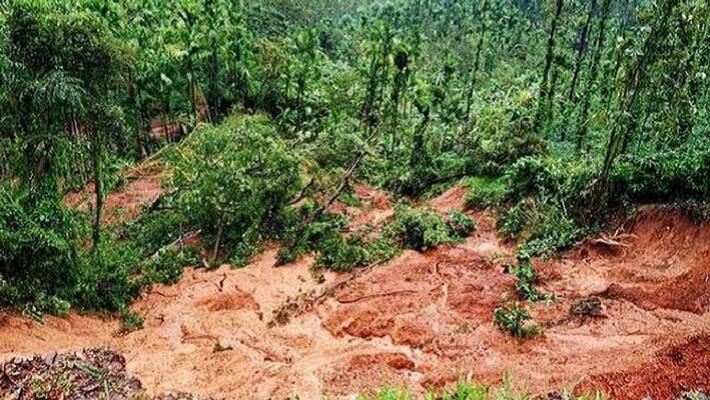 coffee plantations damaged due to heavy rain chikkamagaluru people seeking help coffee plantations damaged due to heavy rain chikkamagaluru people seeking help